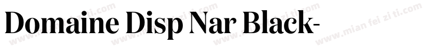 Domaine Disp Nar Black字体转换